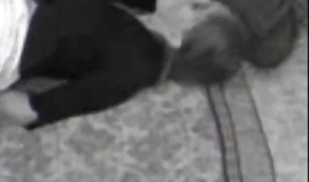 مرد به مهمان دانلود کلیپ سکس پرشور لبخند زد